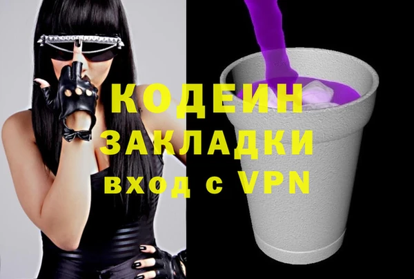 хмурый Бердск