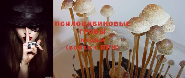 эйфоретик Михайловка