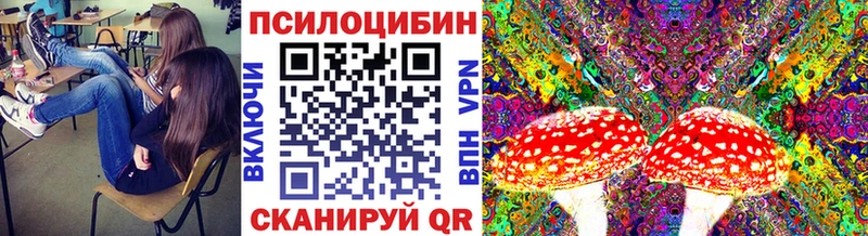 Галлюциногенные грибы мицелий  Ленинградская 